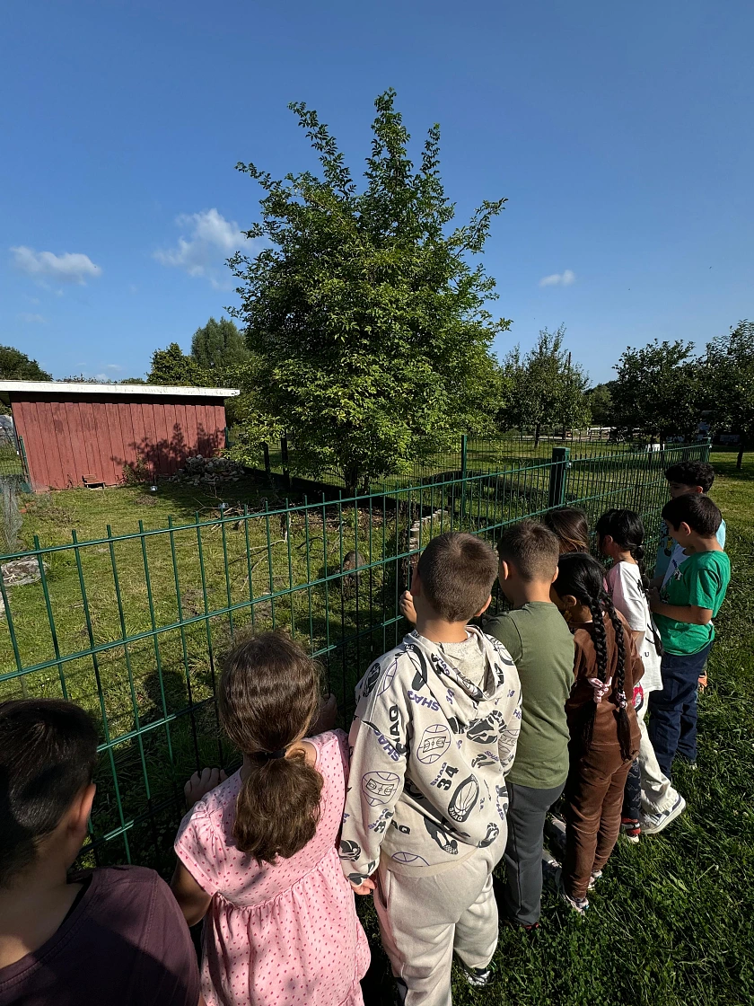 Kinder auf der Erlebnisfarm